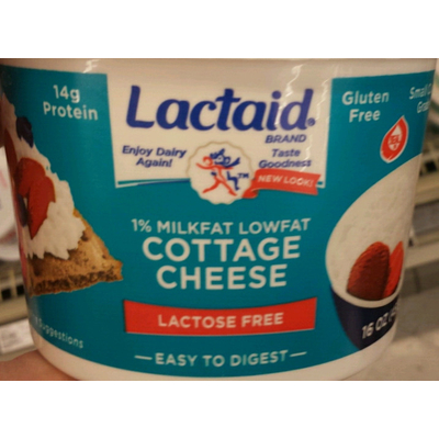 Top 50 Most Popular Cottage Cheese