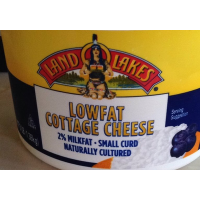 Top 50 Most Popular Cottage Cheese